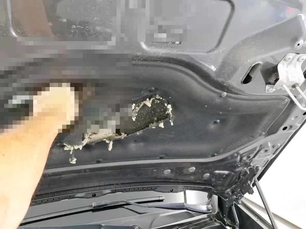Reported damage