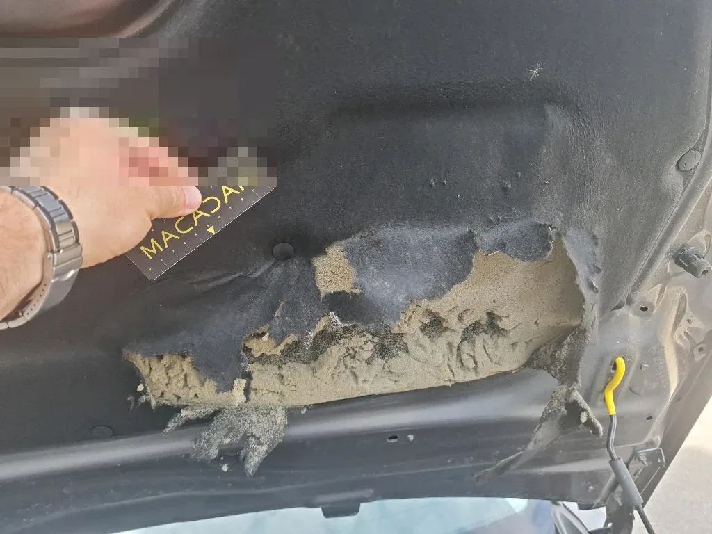 Reported damage