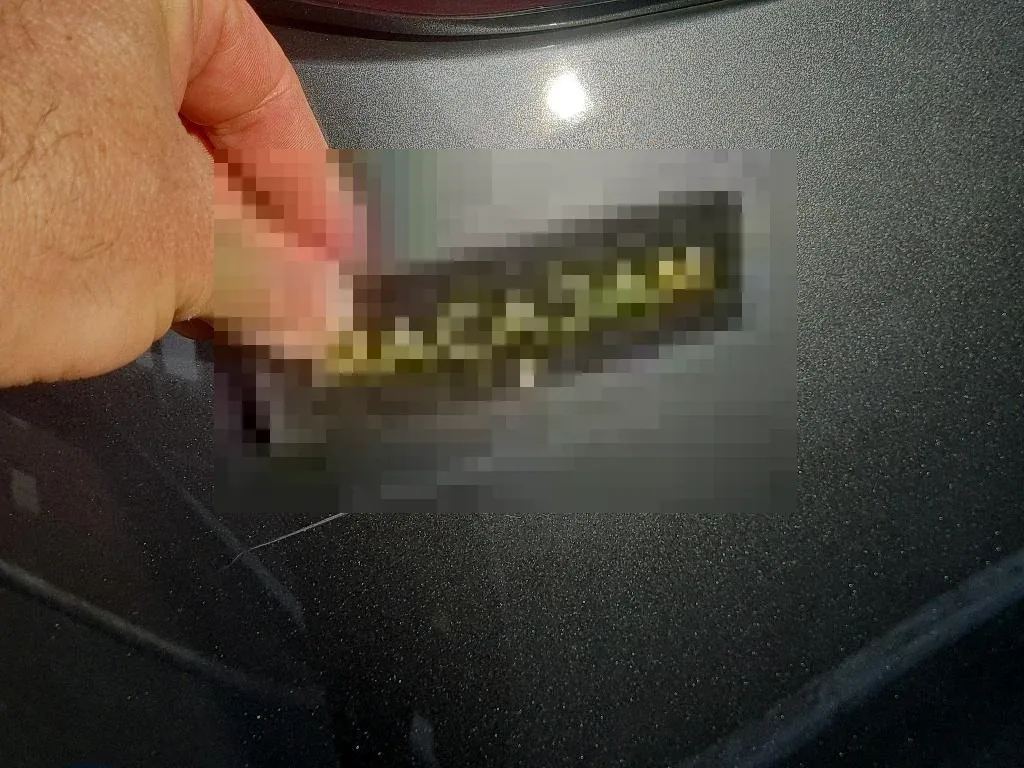 Reported damage