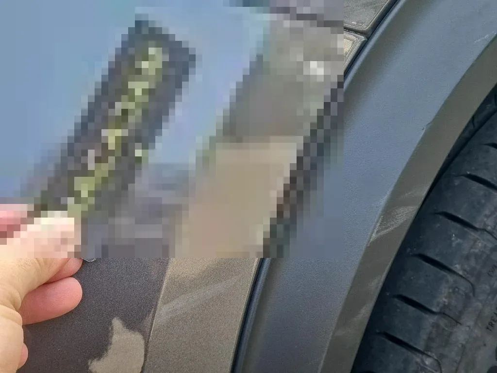 Reported damage