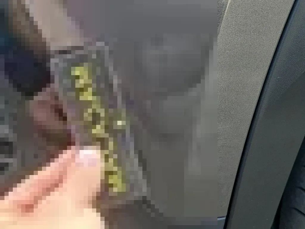 Reported damage