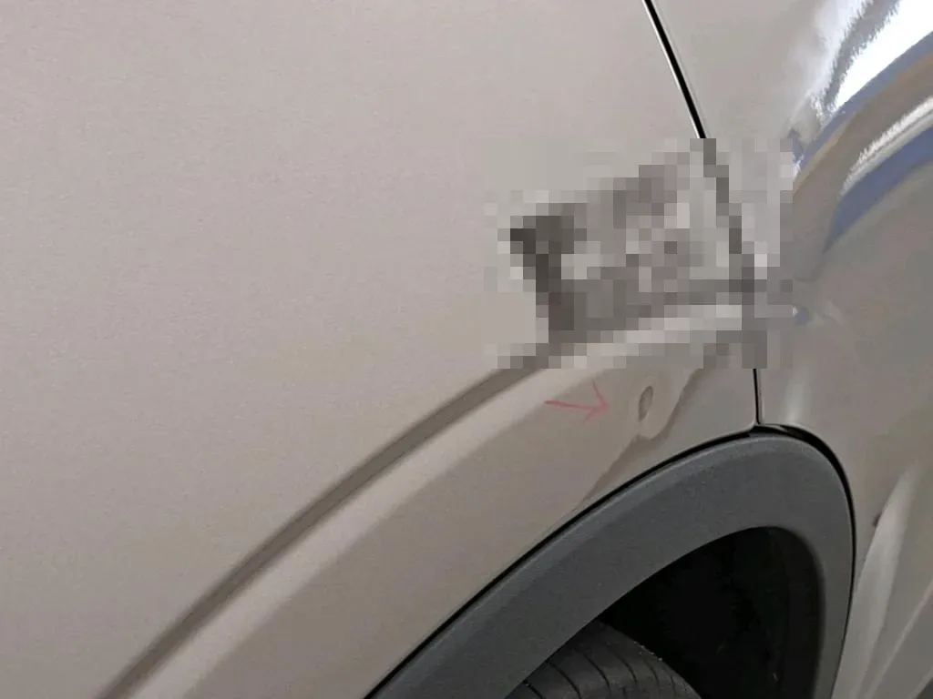Vastgestelde schade