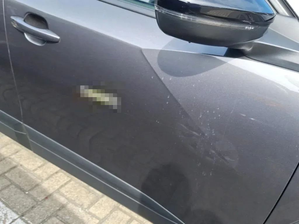 Reported damage