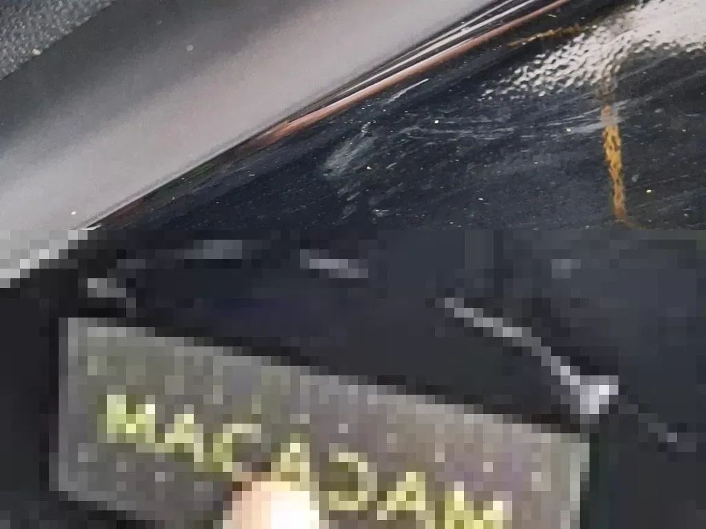 Reported damage