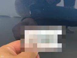Reported damage