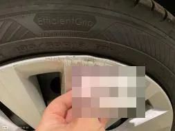 Vastgestelde schade