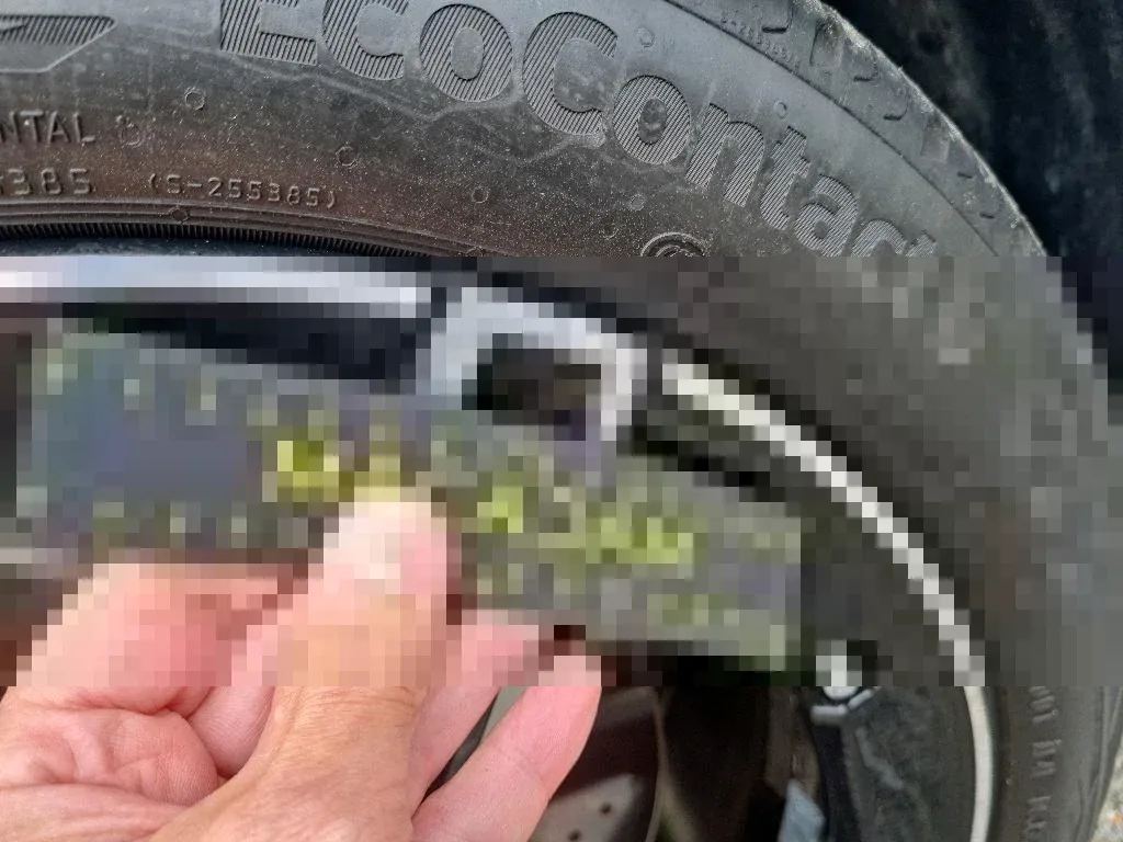 Vastgestelde schade