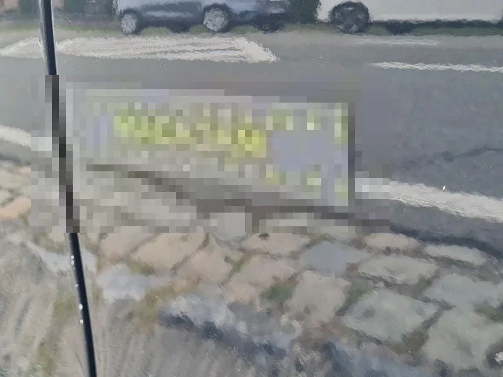 Vastgestelde schade