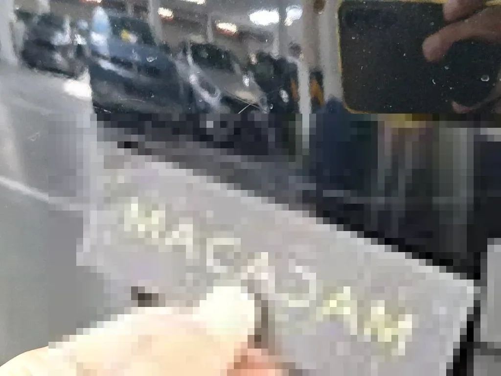 Vastgestelde schade
