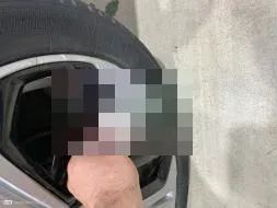 Vastgestelde schade