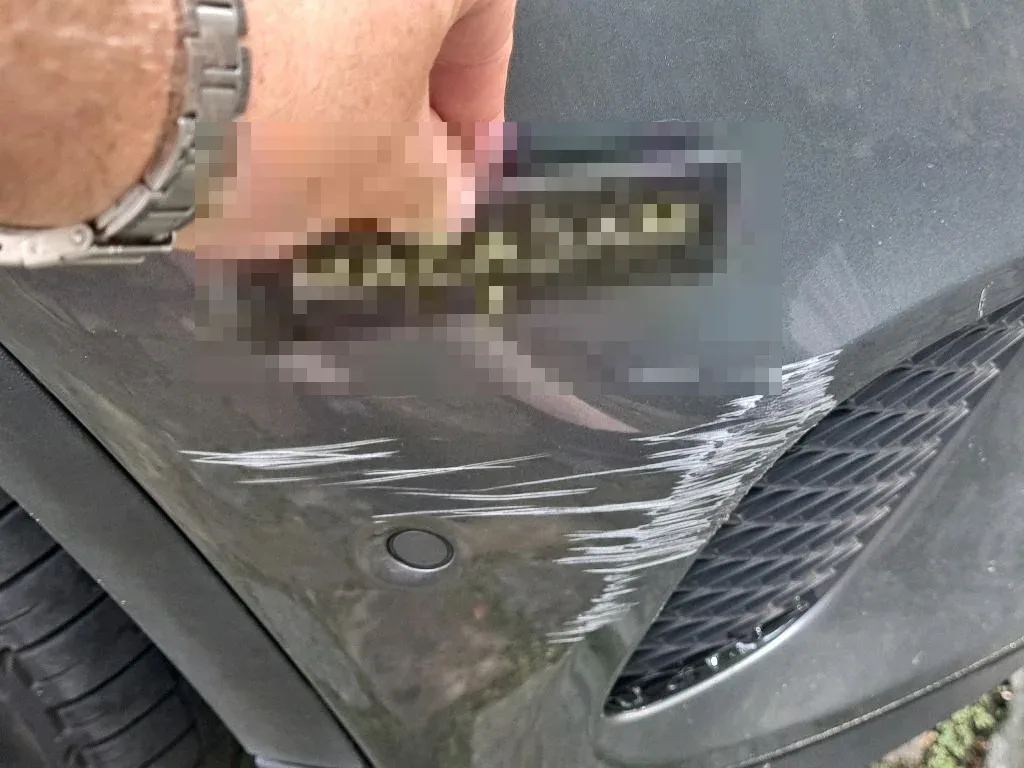Reported damage