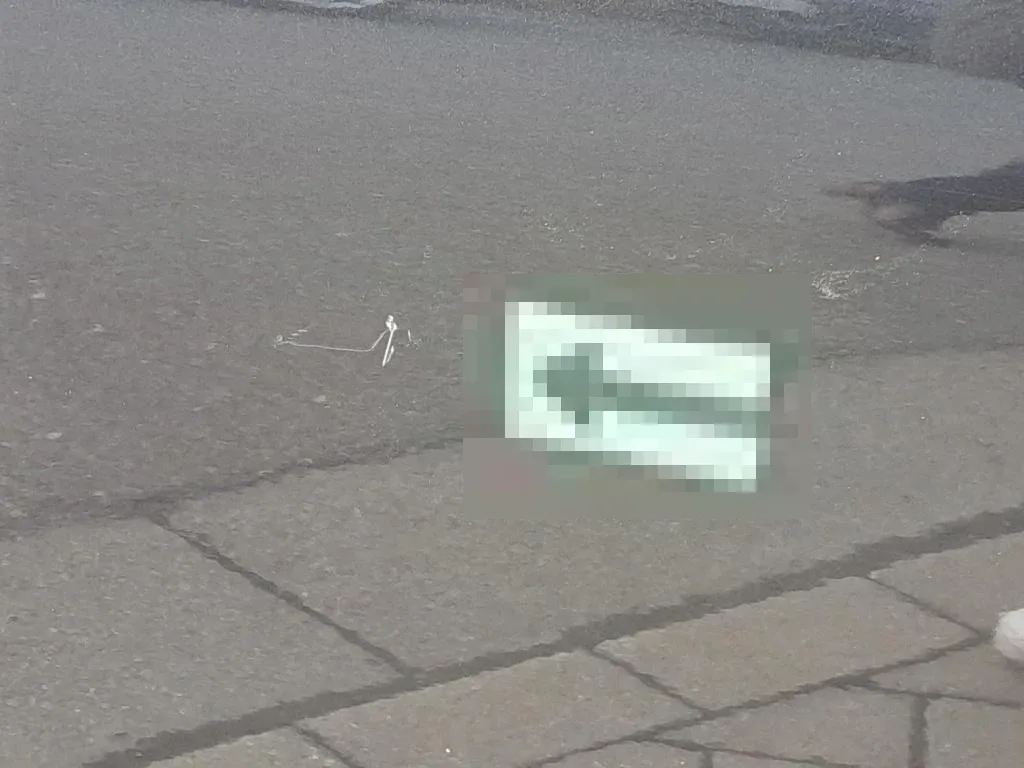 Vastgestelde schade
