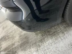 Dommages constatés