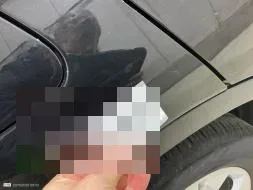 Reported damage