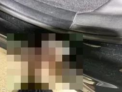 Reported damage
