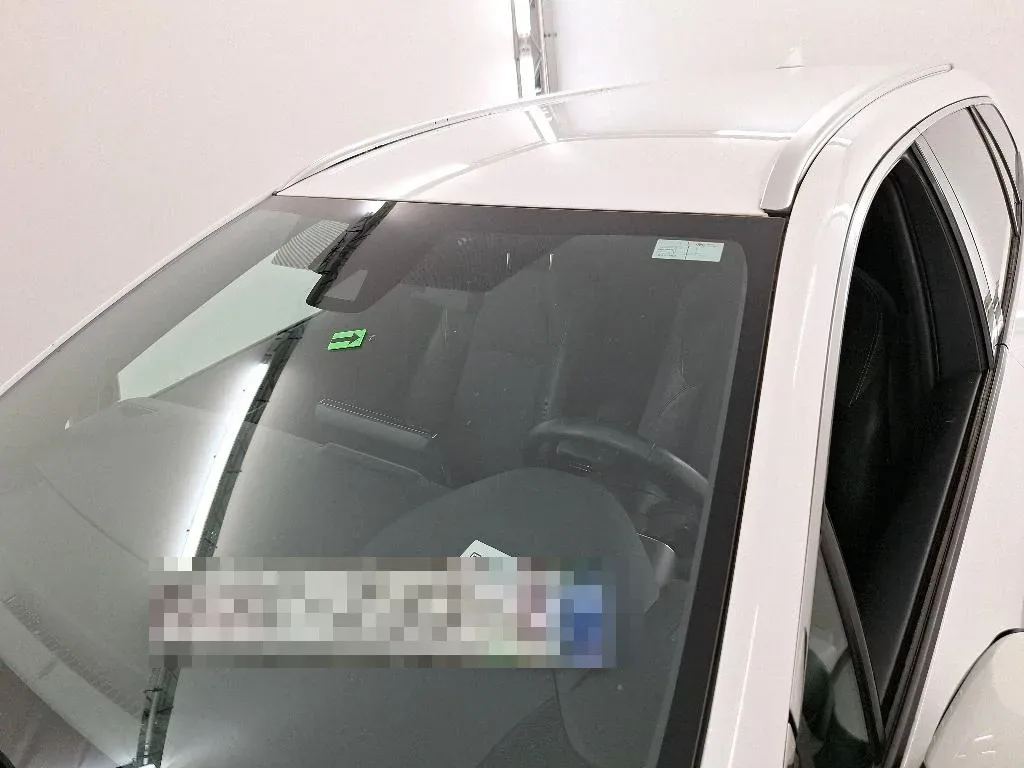 Vastgestelde schade