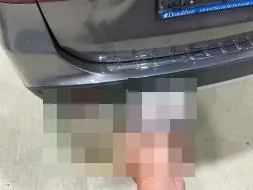 Reported damage