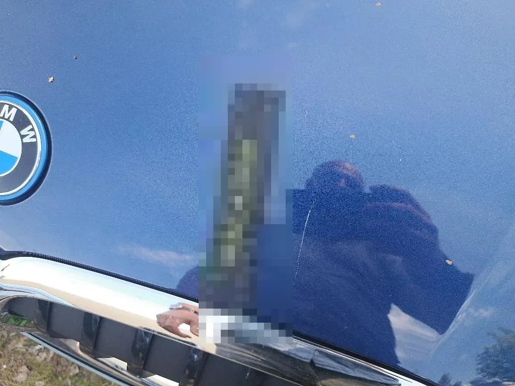 Reported damage