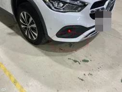 Reported damage