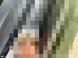 Dommages constatés