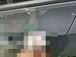 Vastgestelde schade