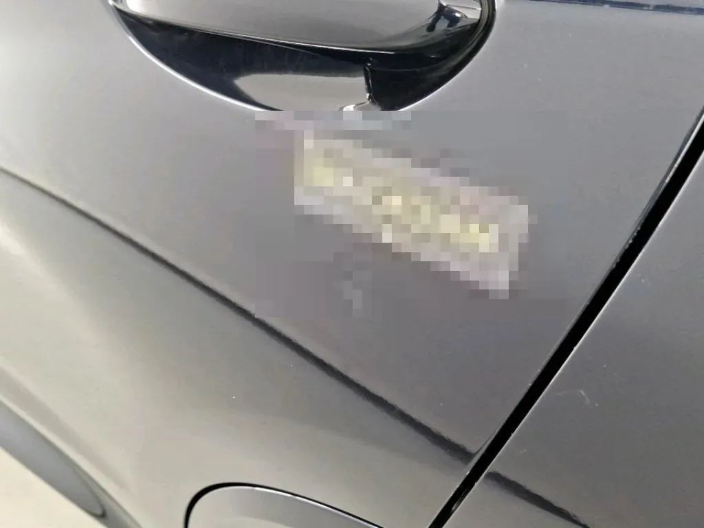Vastgestelde schade