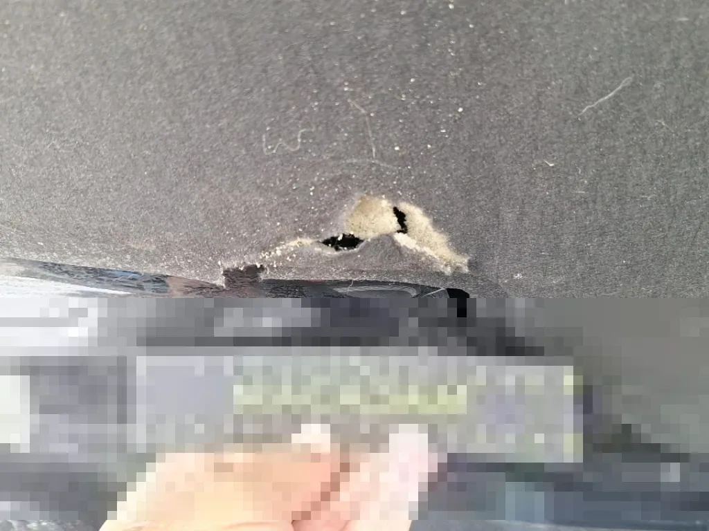 Vastgestelde schade