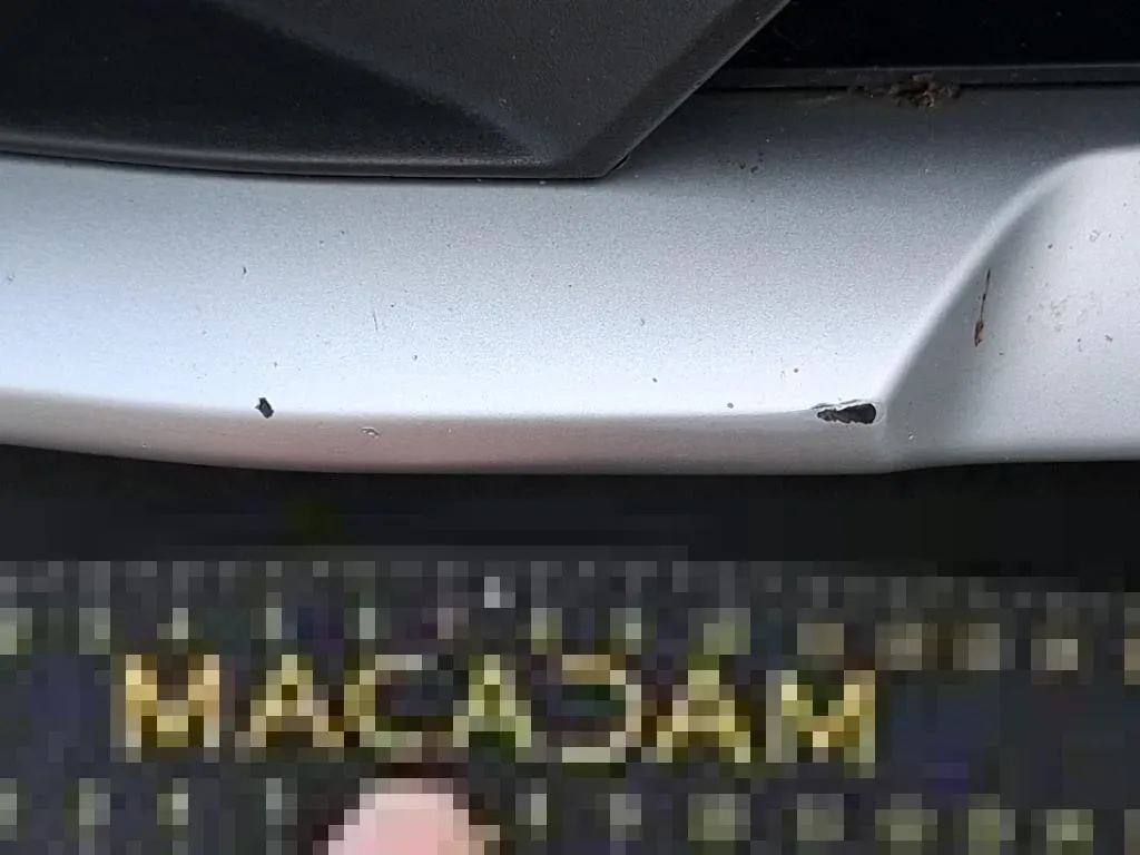 Vastgestelde schade