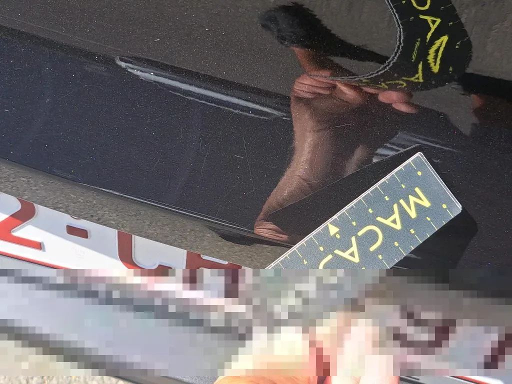 Vastgestelde schade