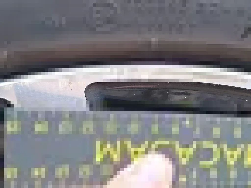 Dommages constatés