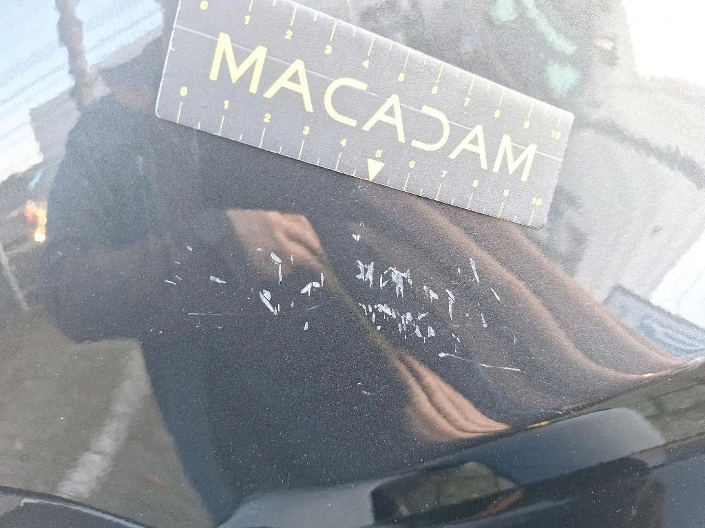 Dommages constatés