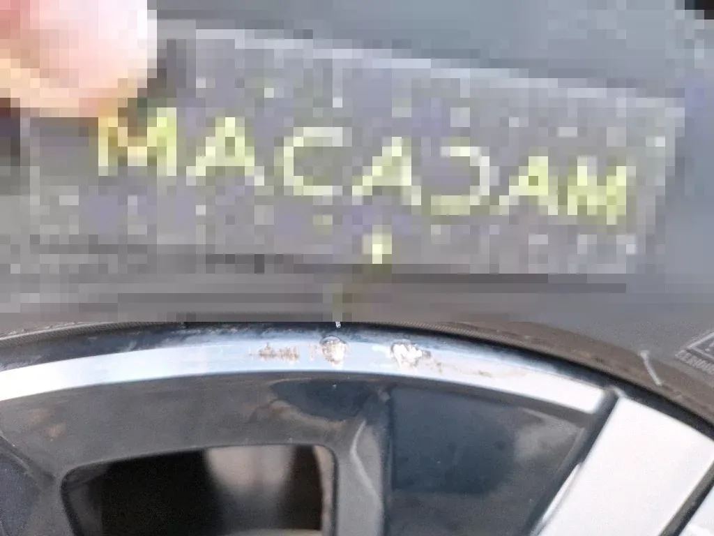 Dommages constatés