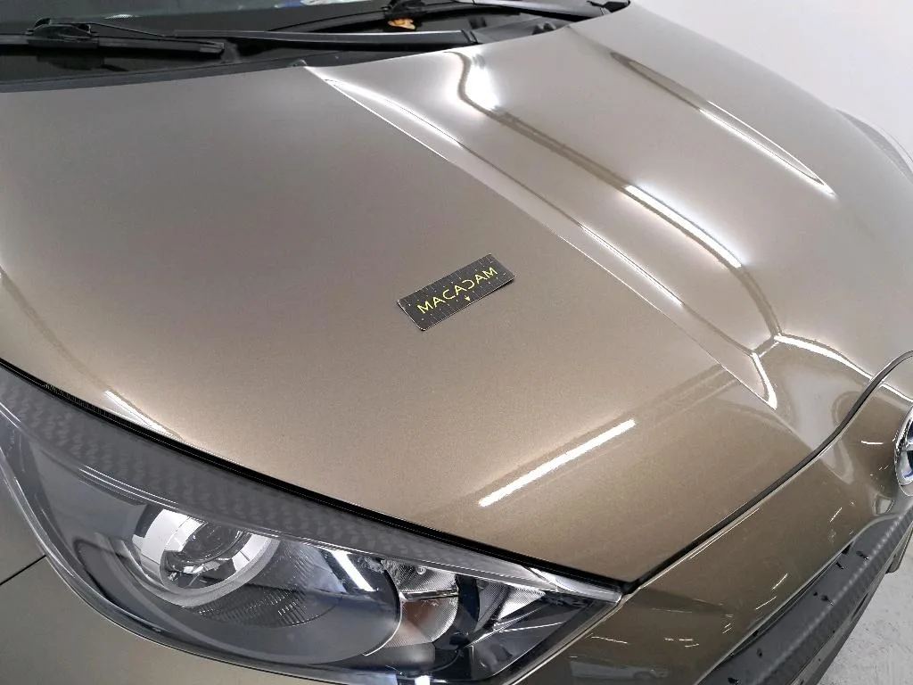 Vastgestelde schade