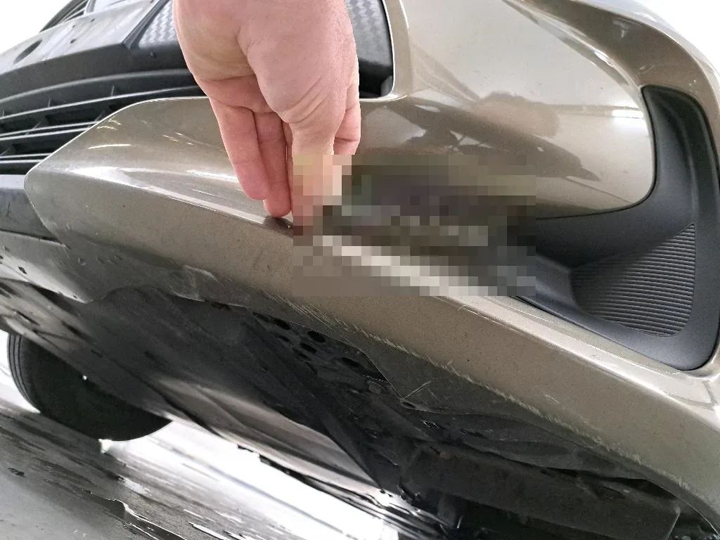Vastgestelde schade