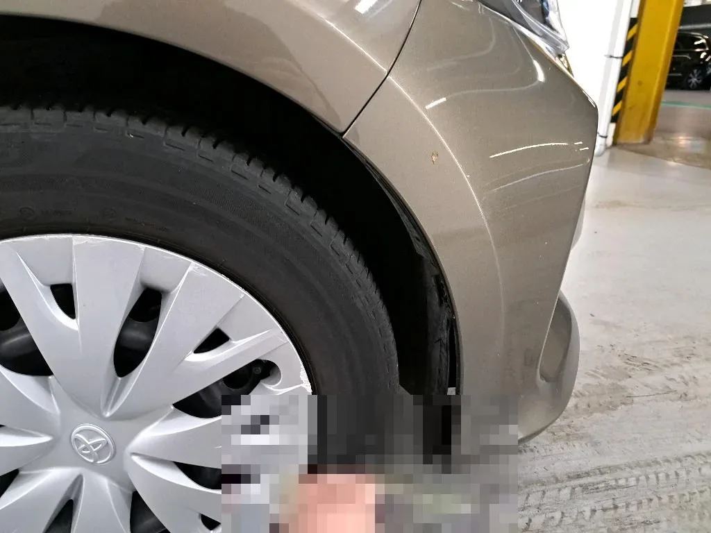 Vastgestelde schade