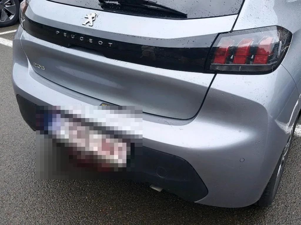 Vastgestelde schade