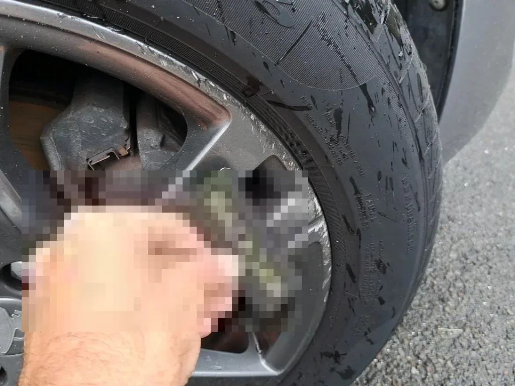 Vastgestelde schade