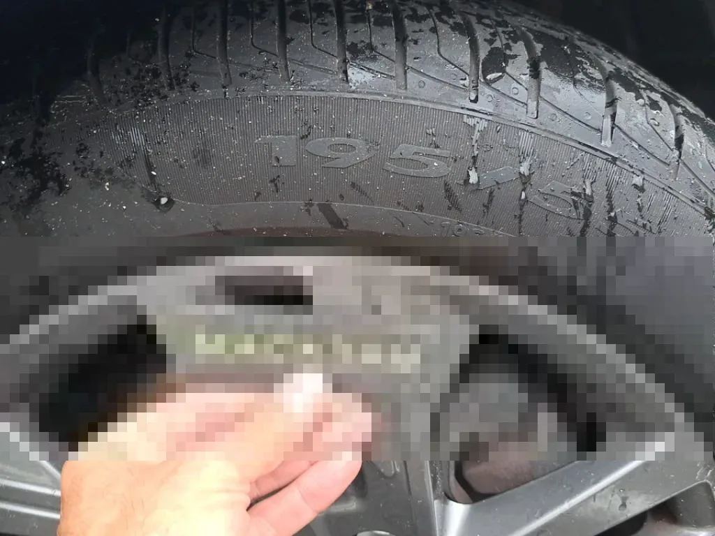 Vastgestelde schade