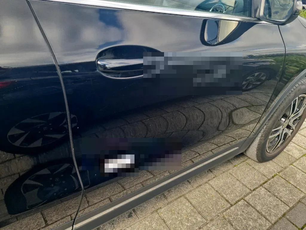 Vastgestelde schade