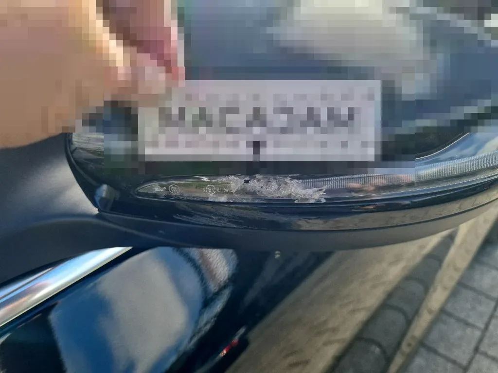 Vastgestelde schade