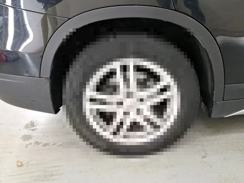 Vastgestelde schade