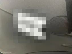 Reported damage