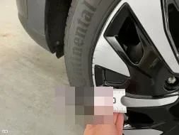 Reported damage