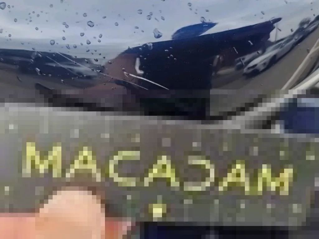 Dommages constatés