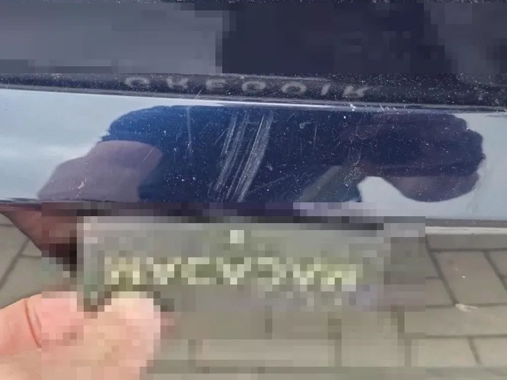 Dommages constatés