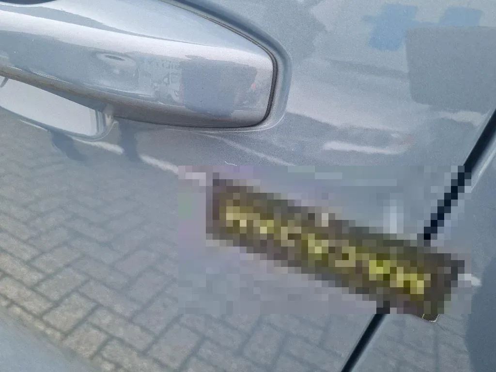 Vastgestelde schade