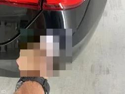 Reported damage