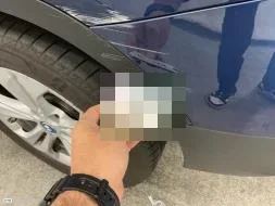 Reported damage