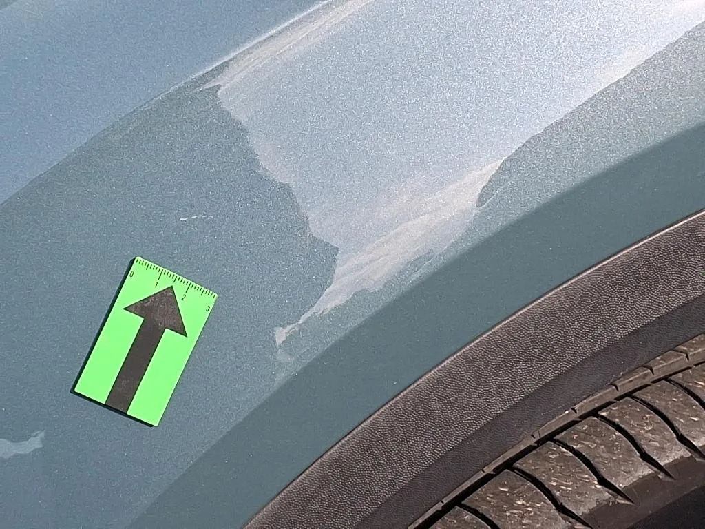 Reported damage
