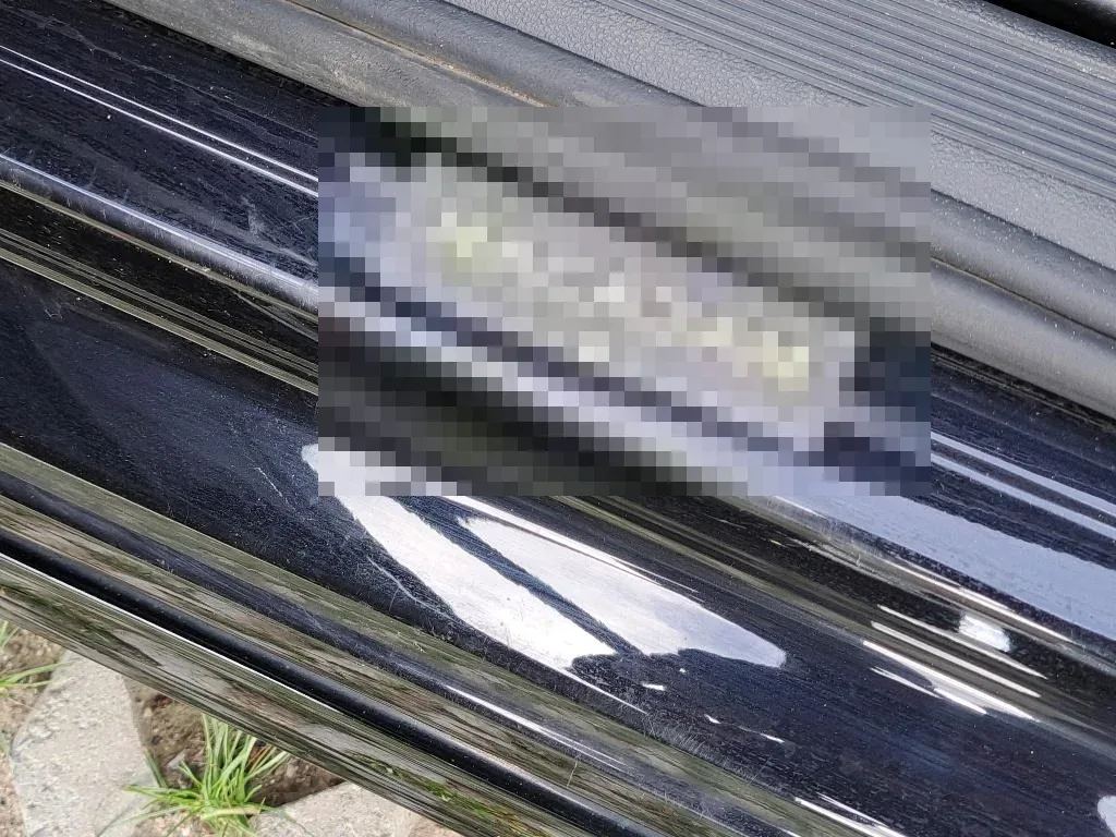 Vastgestelde schade